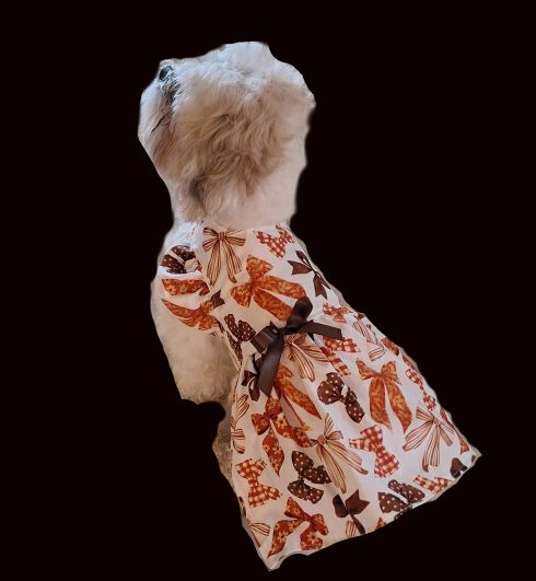 Fall Bows Dress