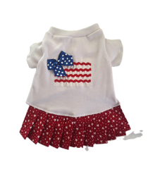 Ric Rac Flag T Shirt Dress